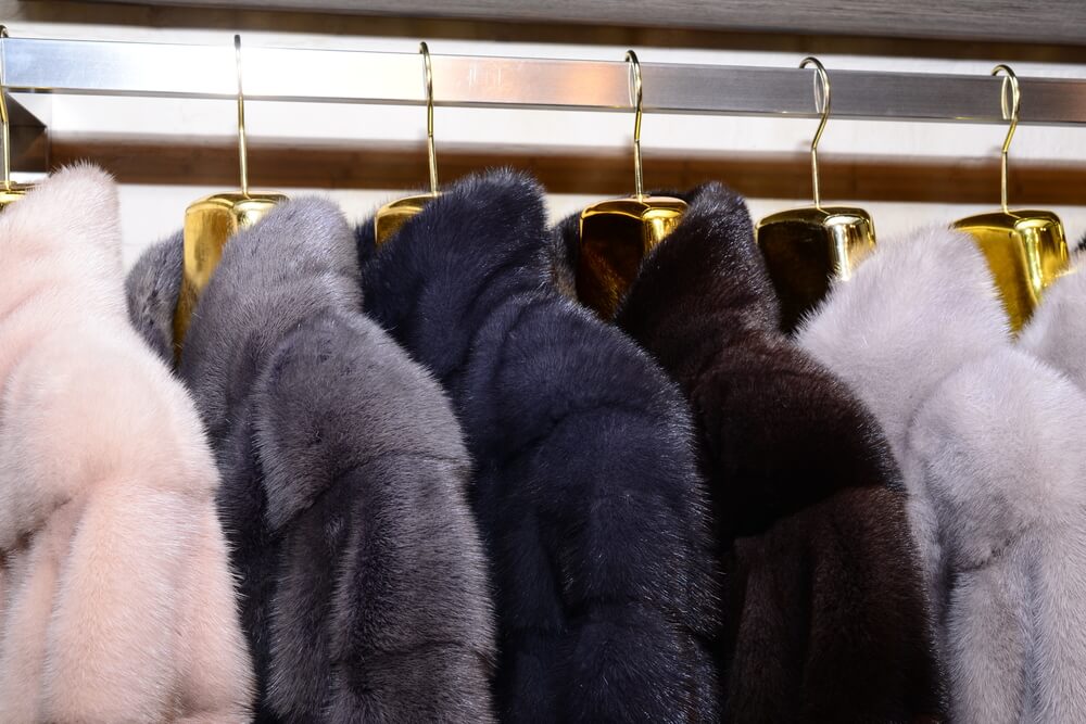 Fur Coat Cleaning When To Clean Them, How Much To Dry Clean Fur Coat